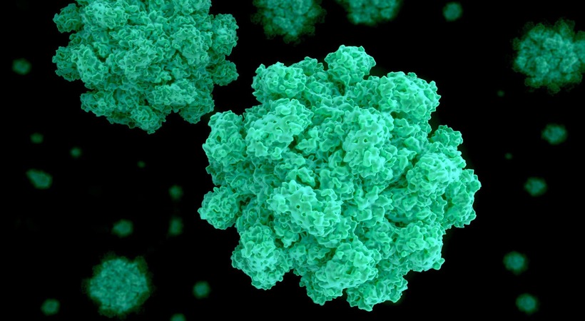 no need to worry about norovirus, veena george