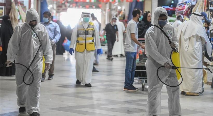uae sees 597 new covid cases in 24 hours