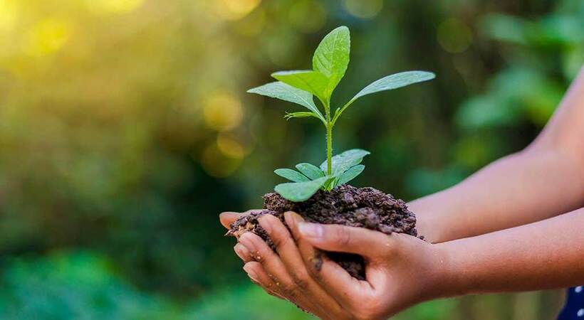 world environment day