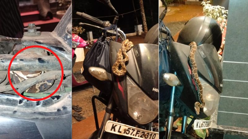 police officer ride bike with snake