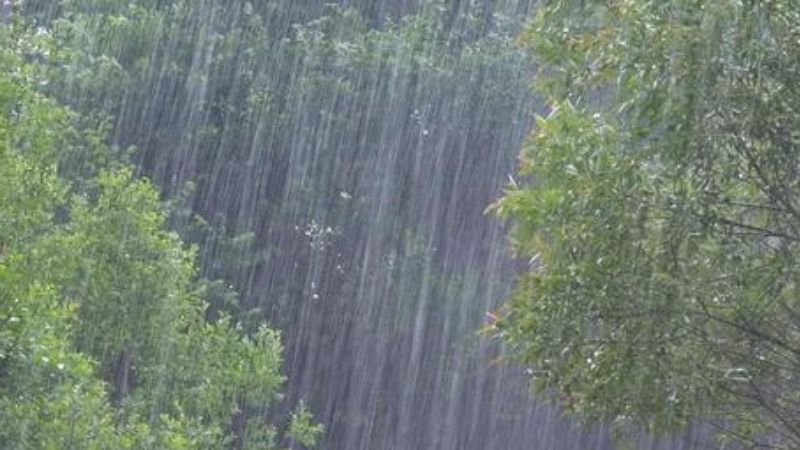 yellow rain alert in six districts