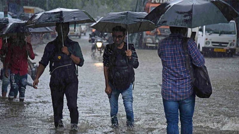 heavy rain kerala yellow alert in 11 districts