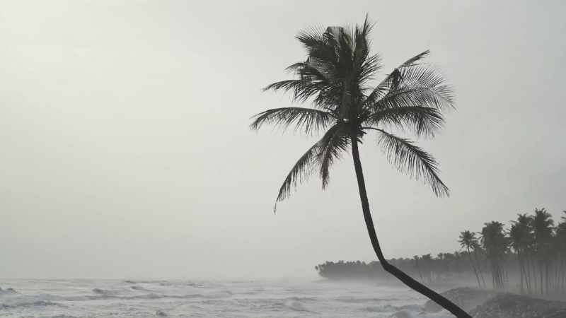 heavy rain alert in kerala