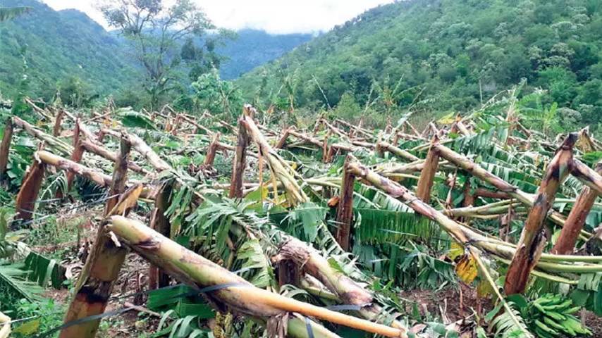heavy rain, 61.41 crore crop damage in Kerala