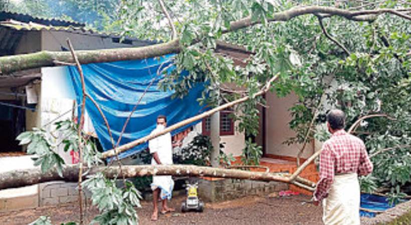 91.27 hectares of crops were destroyed