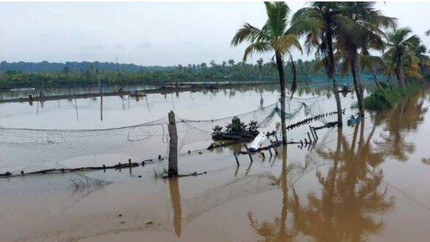 Problems faced by Munroe Island as a tourism sector