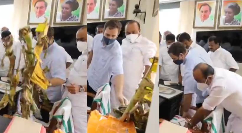 rahul gandhi throws banana tree away and sits on mp chair