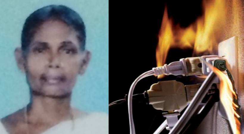 Woman dies of shock; The incident happened in Palakkad