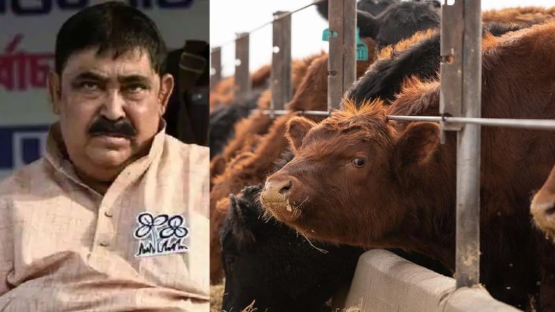 TMC leader Anubrata Mondal in cbi custody cattle smuggling scam
