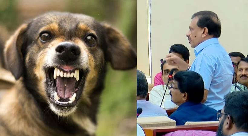 center should allow shooting stray dog