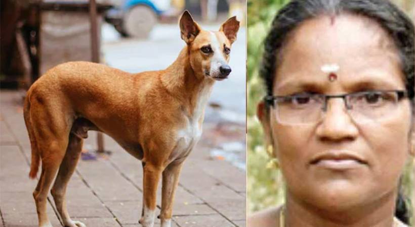 Woman dies after being attacked by stray dog