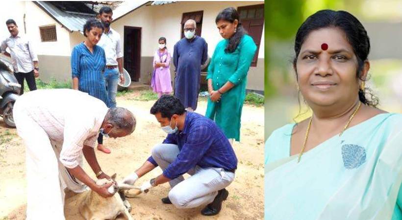 Chinchu Rani intervened; Treatment for dog staying in SN college