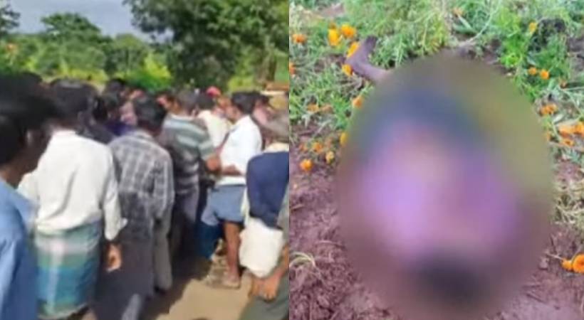farmer Wild elephant attacked and killed