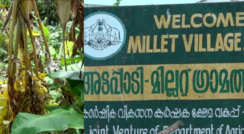 kerala govt farm projects in attappady ineffective