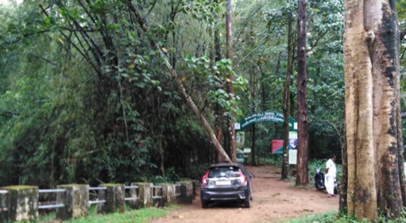 kerala govt irregularity regarding buffer zone