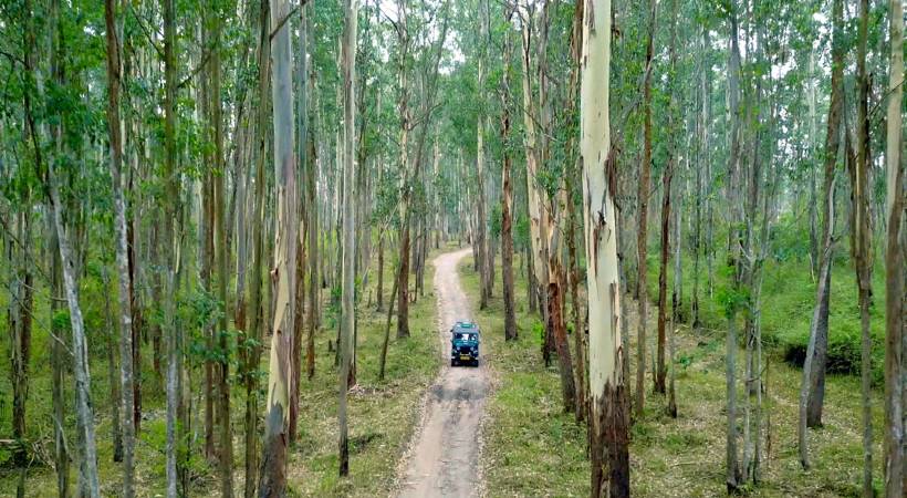 ksrtc jungle safari