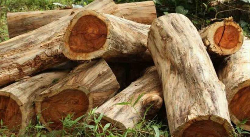 Suspension of Village Officer
