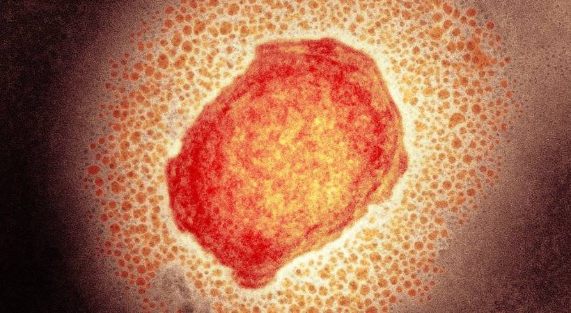 monkeypox kerala strengthen precautionary measures
