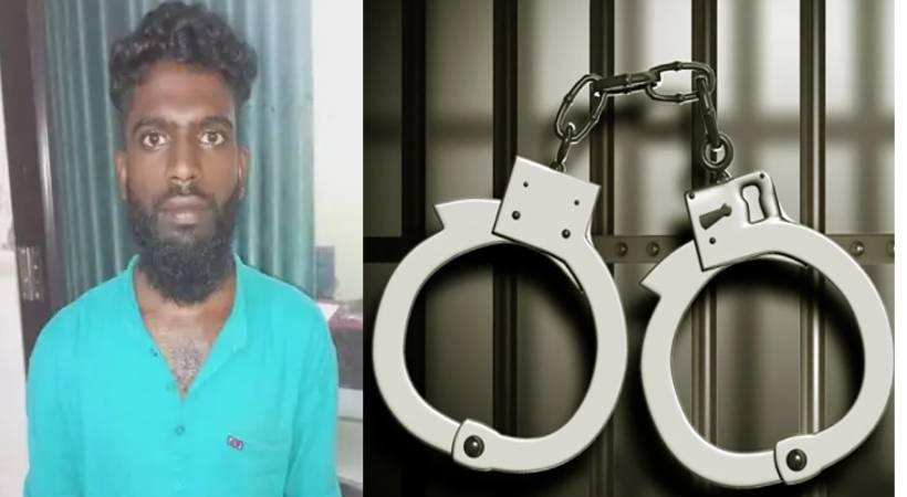22-year-old man who molested a young woman was arrested