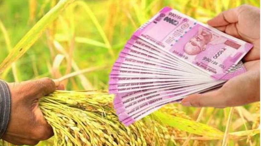 central government has announced interest relief for agricultural loans