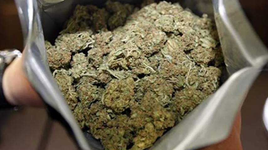 132 kg of ganja seized in Malappuram