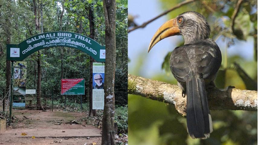 Thattekad Bird Sanctuary does not exist legally; Petition in High Court