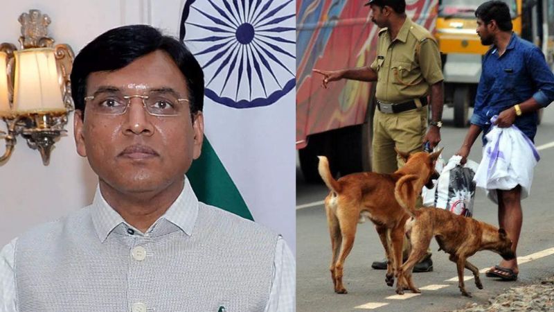 Expert testing has been ordered for the quality of rabies vaccine