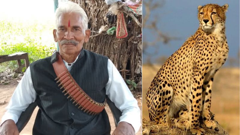 former dacoit now raising awareness about cheetahs