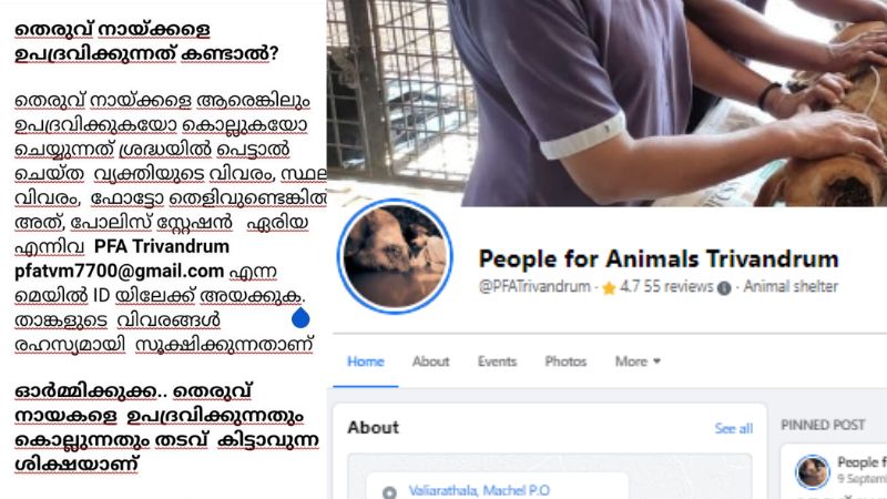 animal lover's facebook post