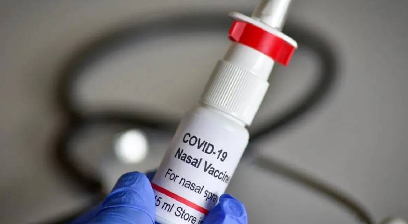 bharat biotech nasal vaccine gets nod