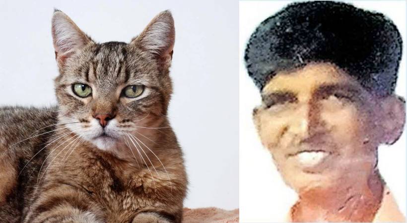 Man bitten by cat dies