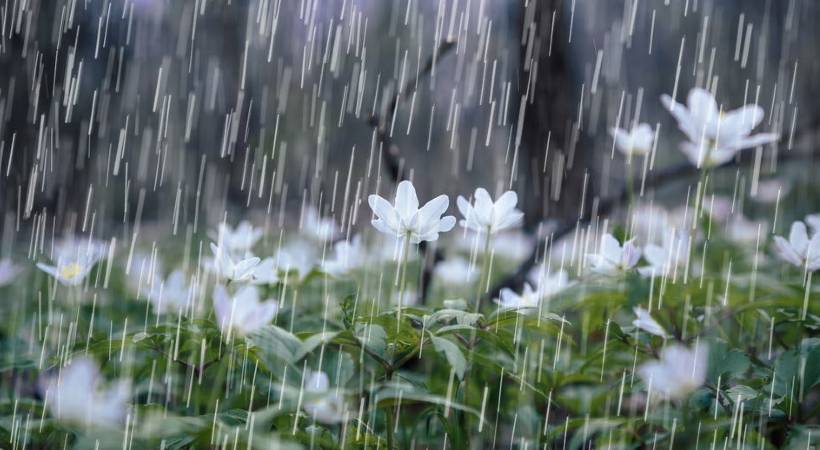 chances of rain till Wednesday kerala