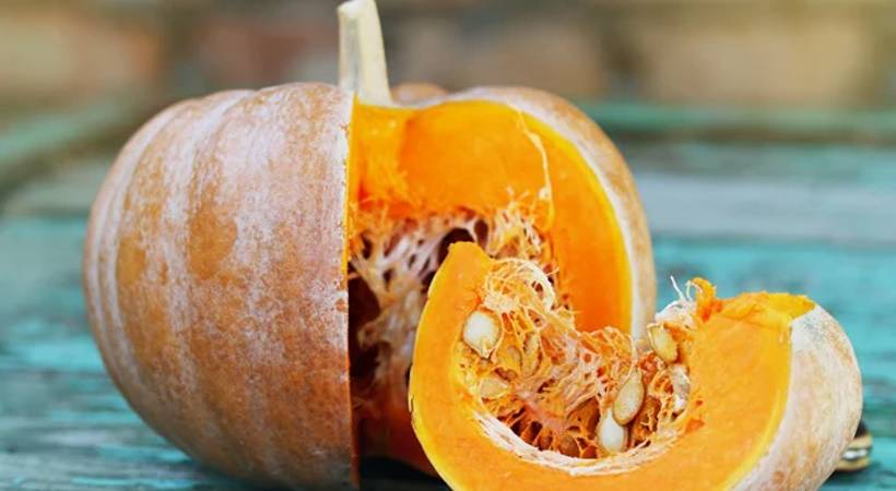 idukki pumpkin auctioned for 47000