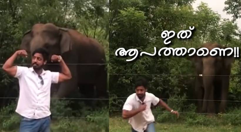 If you see wild animals, don't take photos; Kerala Police