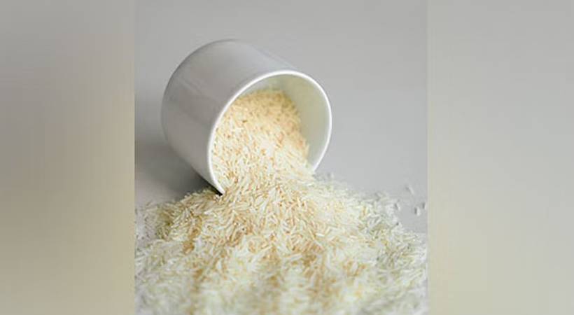 india bans broken rice export