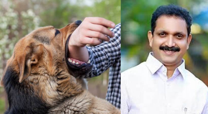 rabies vaccine Quality k surendran