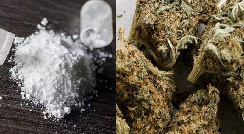 MDMA and cannabis were seized from the shop