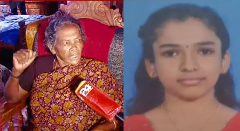 pathanamthitta dog attack grandmother