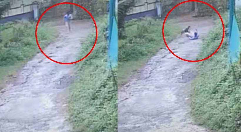 young man was attacked by a stray dog