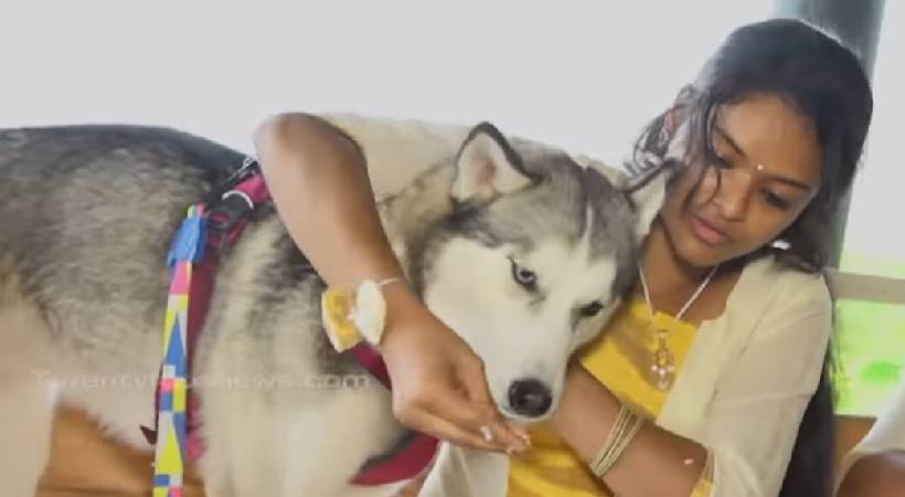 ukraine husky saira
