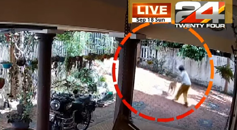 stray dog attack kottayam