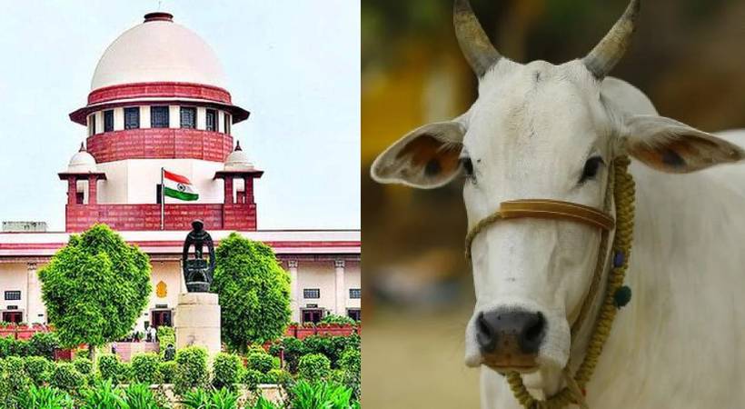 Supreme Court Scraps Cow As National Animal Plea