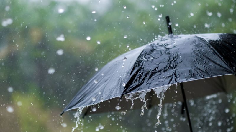 monsoon arrives kerala