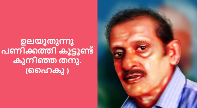 Bhagaval Singh facebook post Haiku Poems