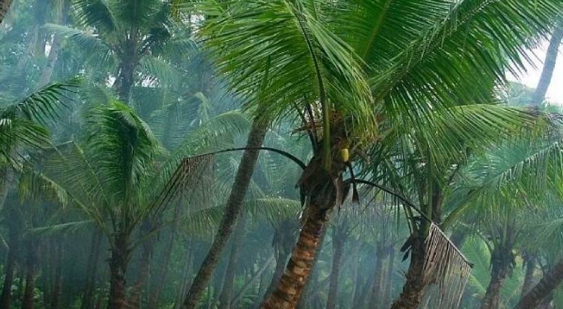 chances of heavy rain kerala