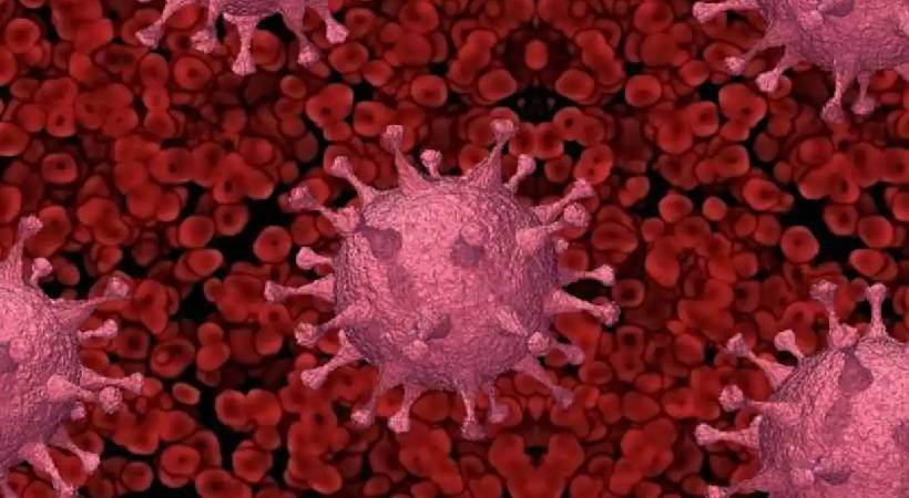 covid new variant kerala strengthen precaution
