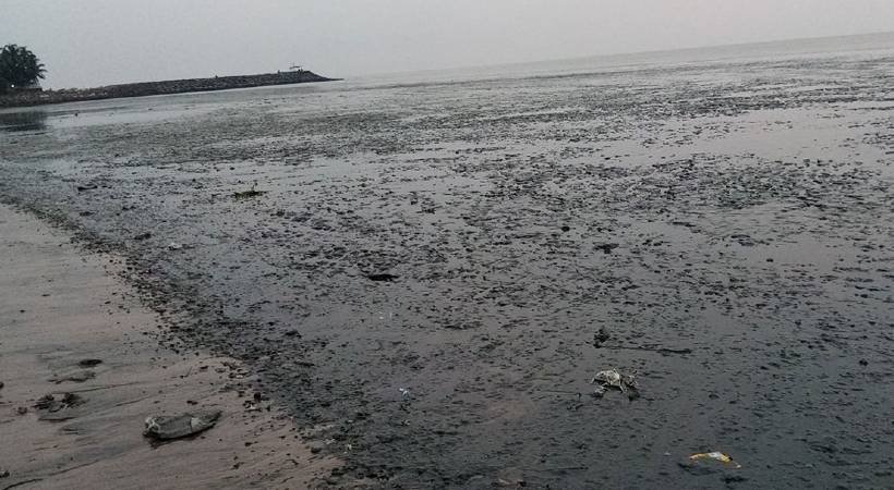 kozhikode sea receded