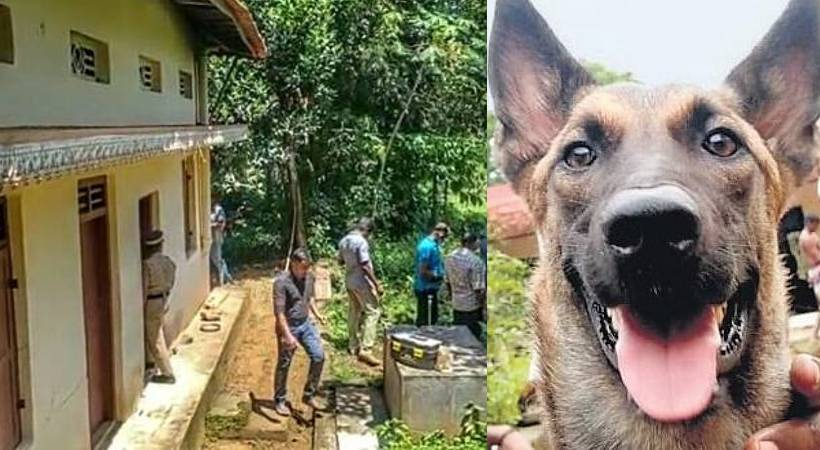 pettimudi search dog maya elanthoor human sacrifice