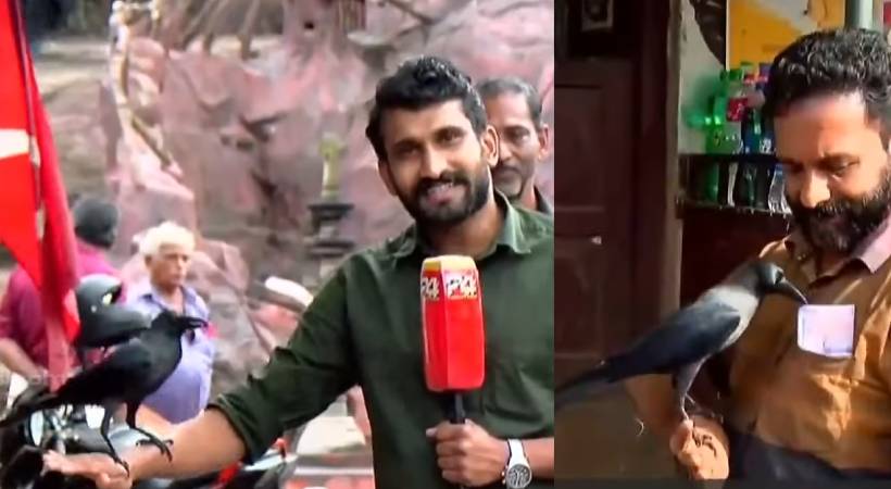 crow life story kollam