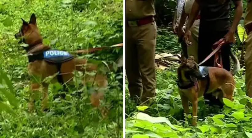 human sacrifice; Belgian Malinois dogs inspect Bhagaval Singh's house
